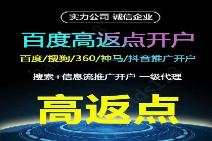 SEM专员的角色与成功案例解析